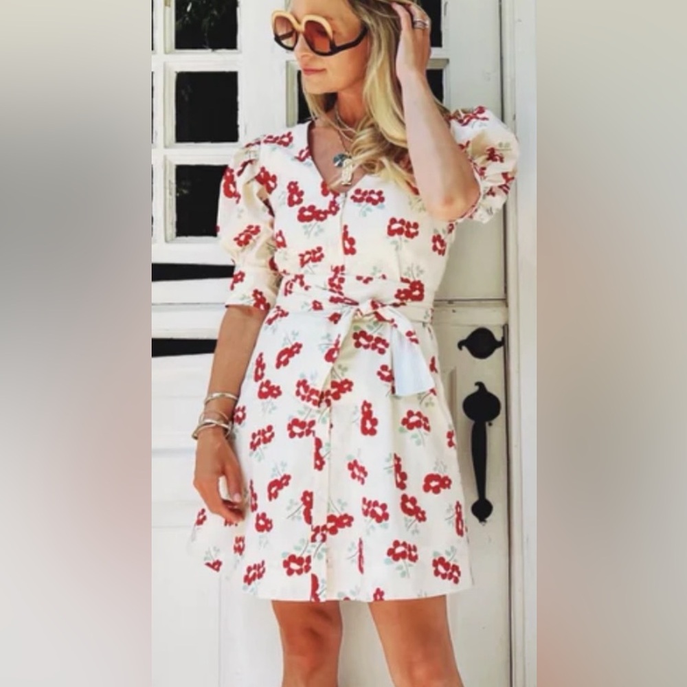 Buru Dress Deep V Day Gown - MINI - Rouge Fleur - S